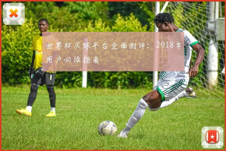 世界杯买球平台全面测评：2018年用户必读指南