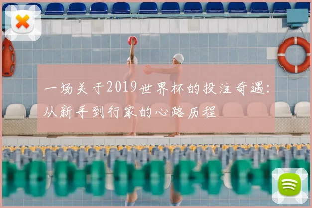 一场关于2019世界杯的投注奇遇:从新手到行家的心路历程