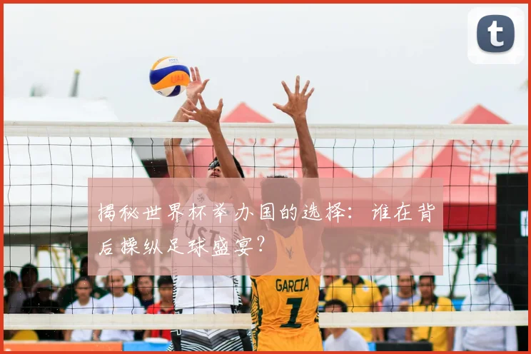 揭秘世界杯举办国的选择：谁在背后操纵足球盛宴？