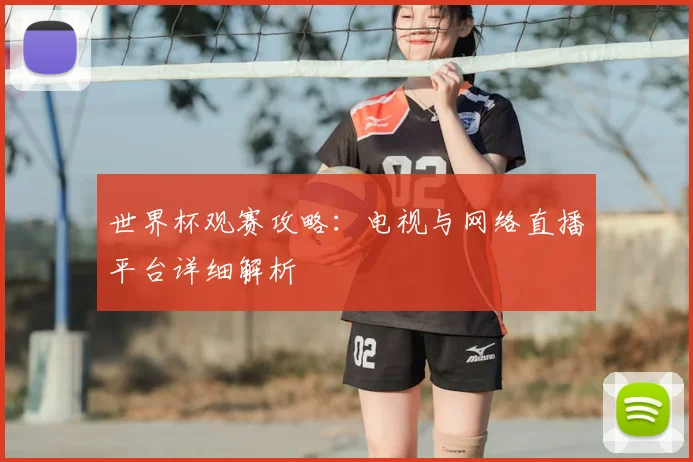 世界杯观赛攻略：电视与网络直播平台详细解析