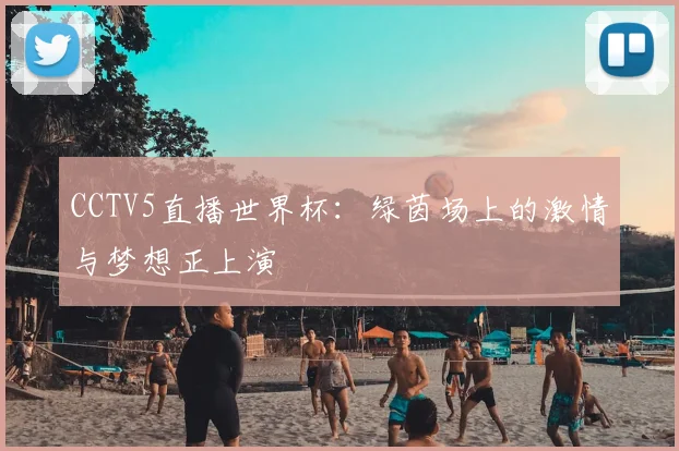 CCTV5直播世界杯：绿茵场上的激情与梦想正上演