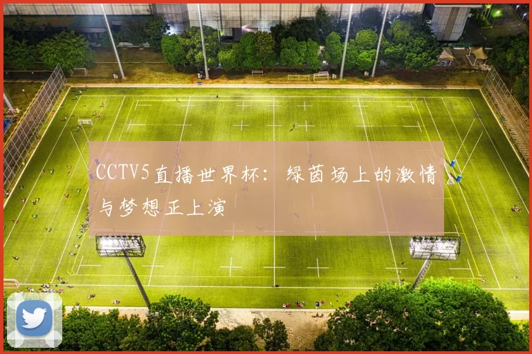 CCTV5直播世界杯：绿茵场上的激情与梦想正上演