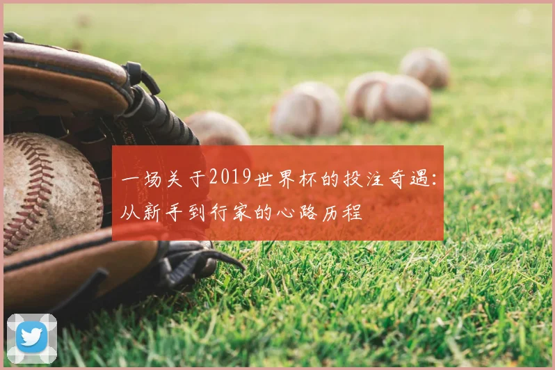 一场关于2019世界杯的投注奇遇:从新手到行家的心路历程