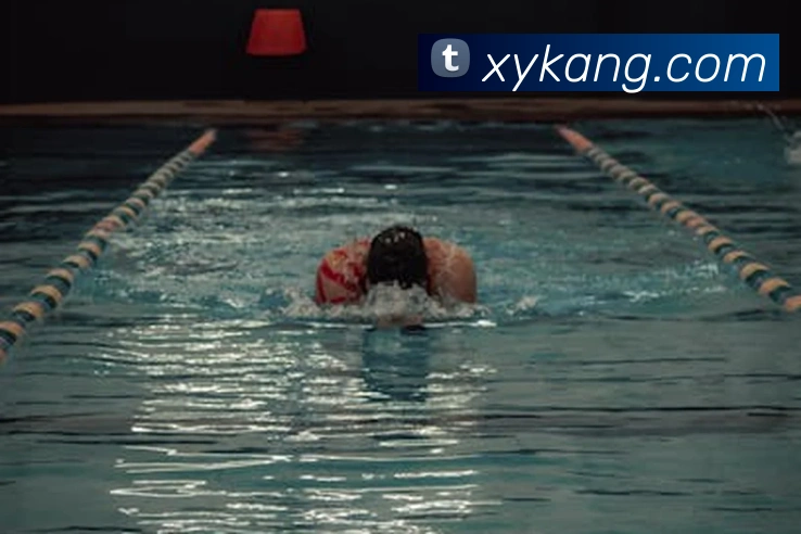 开云手机在线登录官网平台生态图